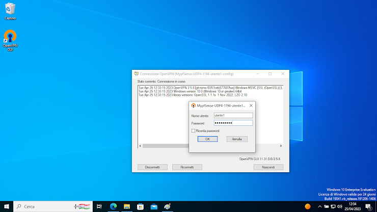 Connessione VPN
